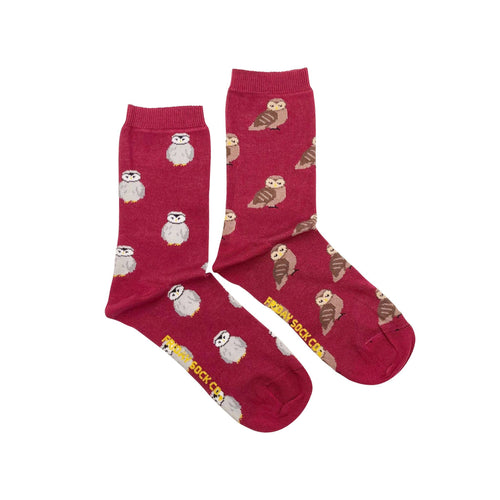 Friday Sock Co. - Women's Socks | Owls