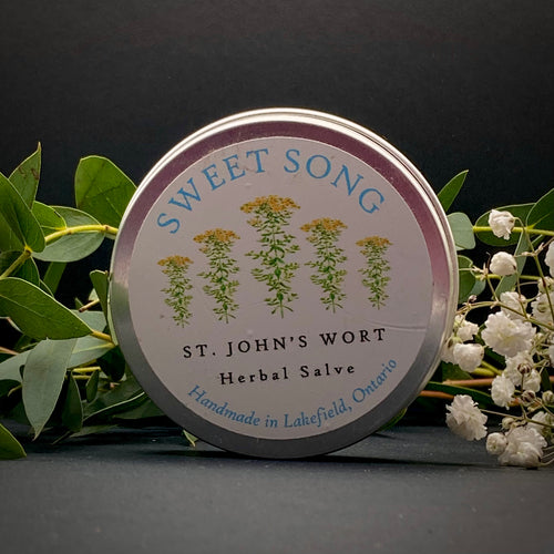 Sweet Song Botanicals - St. John's Wort Salve