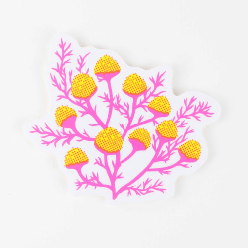 Porchlight Press - Sticker: Chamomile