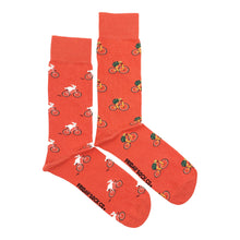 Friday Sock Co. - Men's Socks | Turtle & Bunny