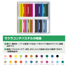 Paper Poetry Club - Cray-pas 24 piece Conte Pastel Set