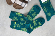 Friday Sock Co. - Women's Socks | Insects