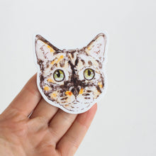 Critter Co. - CALICO CAT Sticker